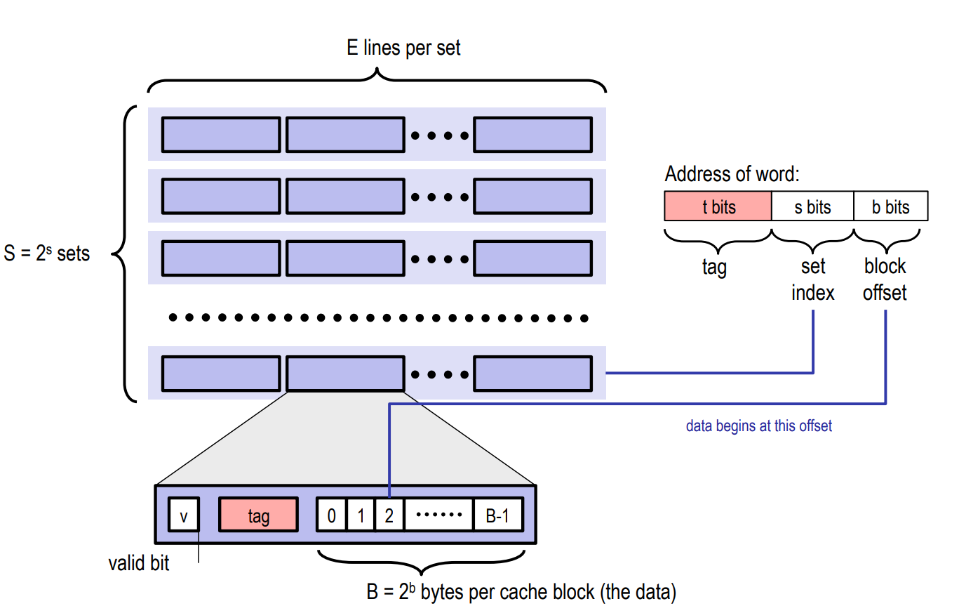 https://xjtu-ics.github.io/assets/images/cachelab_memory_orgnization.png