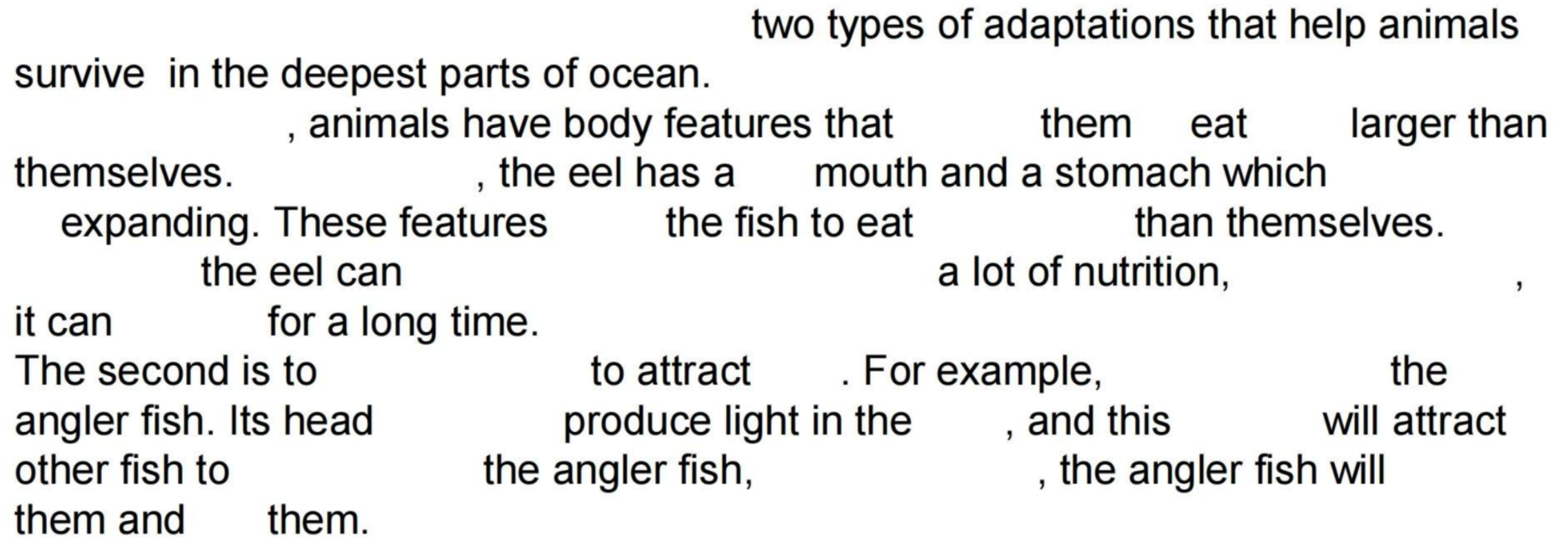 image-20250818204227238