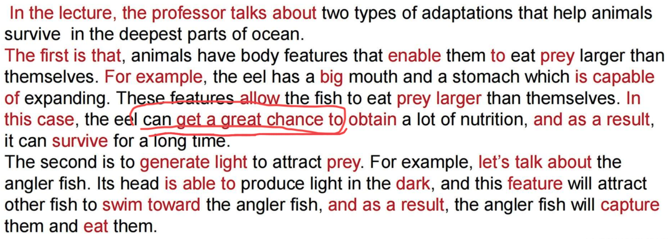 image-20250818204419142